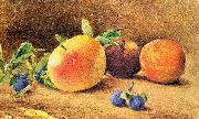 Hill, John William Study of Fruit France oil painting artist